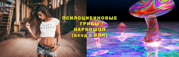 стаф Белоозёрский
